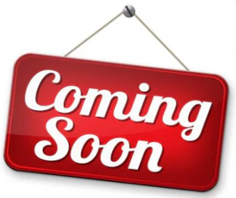 Challenge Coin Lanyard