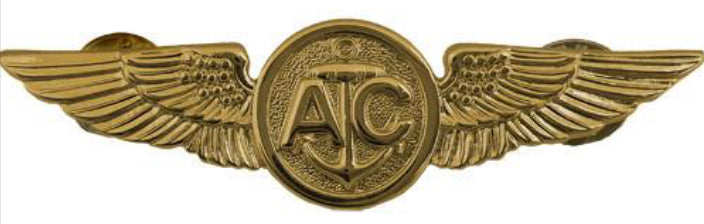 Warfare Devices & Breast Insignia Enlisted