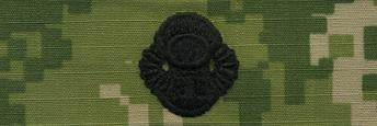 Type III Warfare Devices & Breast Insignia Enlisted