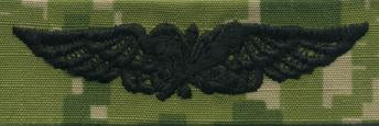 Type III Warfare Devices & Breast Insignia Enlisted