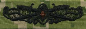 Type III Warfare Devices & Breast Insignia Enlisted