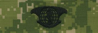 Type III Warfare Devices & Breast Insignia Enlisted