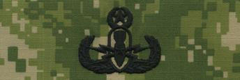 Type III Warfare Devices & Breast Insignia Enlisted