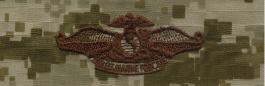 NWU Type II Warfare Devices & Breast Insignia Officer
