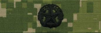 Type III Warfare Devices & Breast Insignia Enlisted