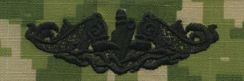 Type III Warfare Devices & Breast Insignia Enlisted