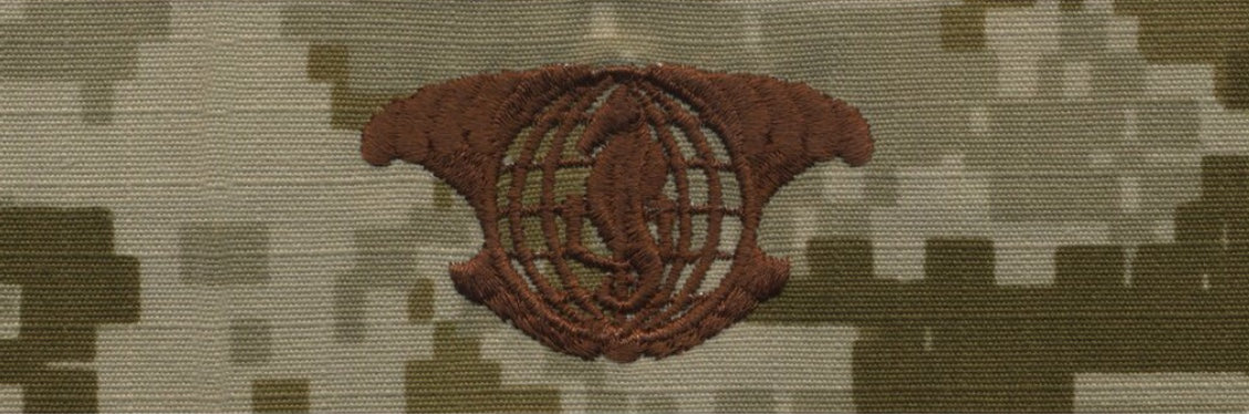 Type II Warfare Devices & Breast Insignia Enlisted