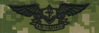 Type III Warfare Devices & Breast Insignia Enlisted