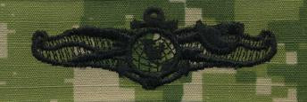 Type III Warfare Devices & Breast Insignia Enlisted