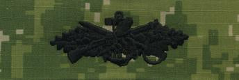 Type III Warfare Devices & Breast Insignia Enlisted