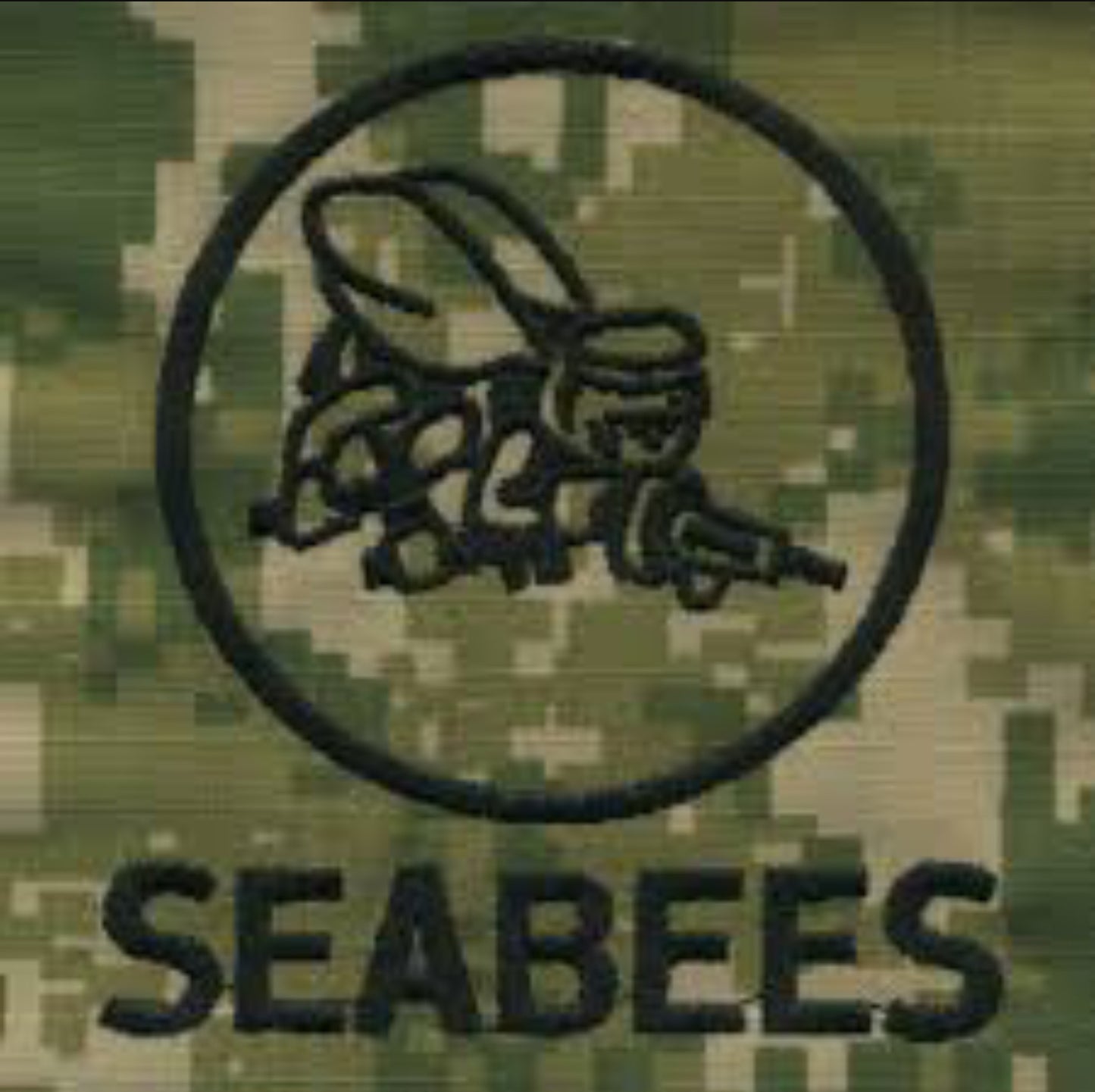 Type III Warfare Devices & Breast Insignia Enlisted