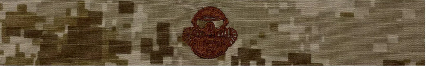 Type II Warfare Devices & Breast Insignia Enlisted