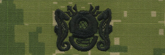 NWU Type III Warfare Devices & Breast Insignia Officer