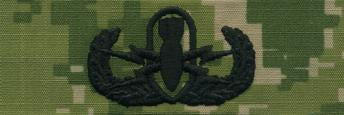 Type III Warfare Devices & Breast Insignia Enlisted