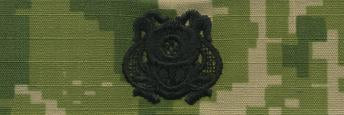 Type III Warfare Devices & Breast Insignia Enlisted