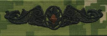 Type III Warfare Devices & Breast Insignia Enlisted