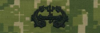 Type III Warfare Devices & Breast Insignia Enlisted