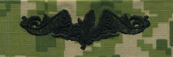 Type III Warfare Devices & Breast Insignia Enlisted