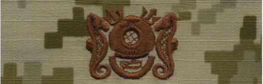 NWU Type II Warfare Devices & Breast Insignia Officer