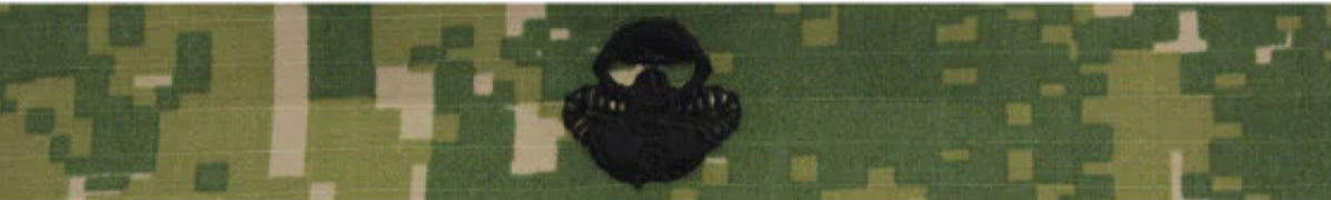 Type III Warfare Devices & Breast Insignia Enlisted