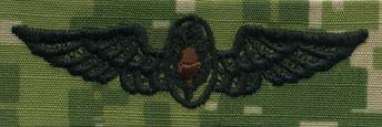 Type III Warfare Devices & Breast Insignia Enlisted