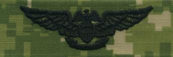 Type III Warfare Devices & Breast Insignia Enlisted