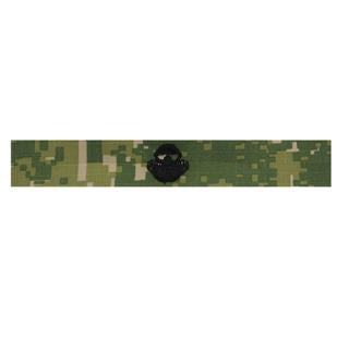 Type III Warfare Devices & Breast Insignia Enlisted