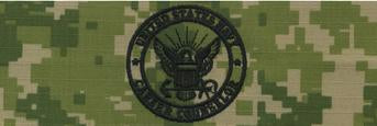 Type III Warfare Devices & Breast Insignia Enlisted