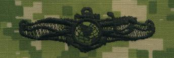 Type III Warfare Devices & Breast Insignia Enlisted