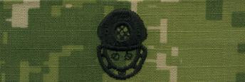 Type III Warfare Devices & Breast Insignia Enlisted
