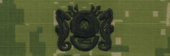 Type III Warfare Devices & Breast Insignia Enlisted