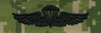 Type III Warfare Devices & Breast Insignia Enlisted