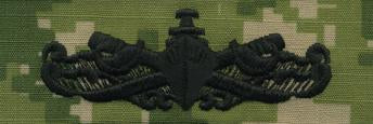 Type III Warfare Devices & Breast Insignia Enlisted