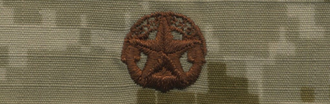 NWU Type II Warfare Devices & Breast Insignia Officer