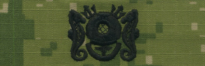 NWU Type III Warfare Devices & Breast Insignia Officer