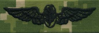 Type III Warfare Devices & Breast Insignia Enlisted