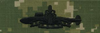 Type III Warfare Devices & Breast Insignia Enlisted