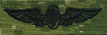 Type III Warfare Devices & Breast Insignia Enlisted