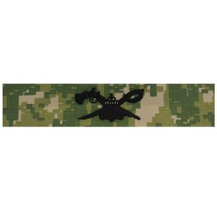Type III Warfare Devices & Breast Insignia Enlisted