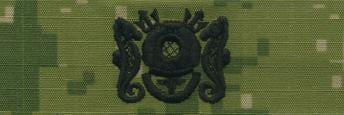 Type III Warfare Devices & Breast Insignia Enlisted