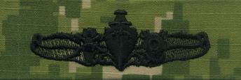 Type III Warfare Devices & Breast Insignia Enlisted