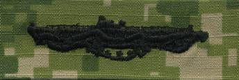 Type III Warfare Devices & Breast Insignia Enlisted