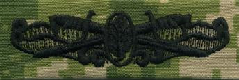Type III Warfare Devices & Breast Insignia Enlisted