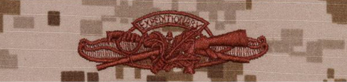 NWU Type II Warfare Devices & Breast Insignia Officer