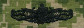 Type III Warfare Devices & Breast Insignia Enlisted