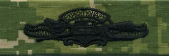 Type III Warfare Devices & Breast Insignia Enlisted