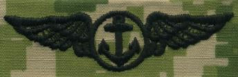 Type III Warfare Devices & Breast Insignia Enlisted