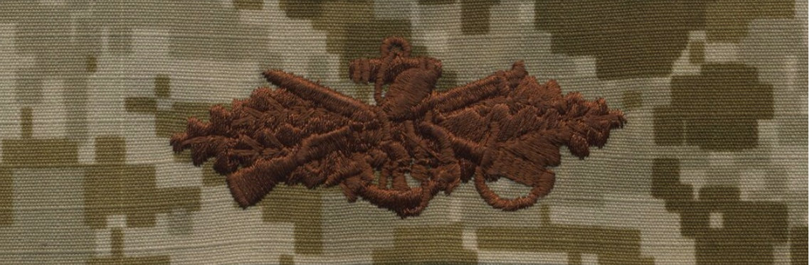 Type II Warfare Devices & Breast Insignia Enlisted
