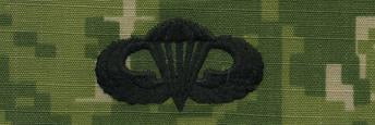 Type III Warfare Devices & Breast Insignia Enlisted