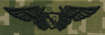 Type III Warfare Devices & Breast Insignia Enlisted